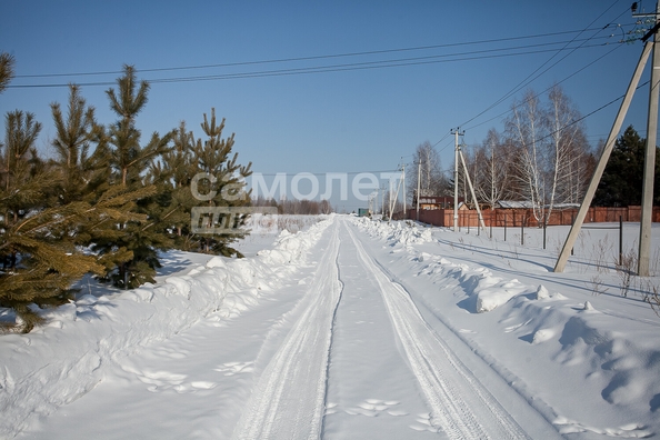 
  Продам  дачный участок, 15 соток, Надежда

. Фото 15.