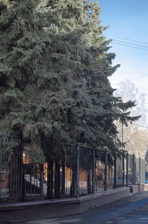 
   Продам помещение, 1509 м², Дзержинского ул, 29А

. Фото 42.