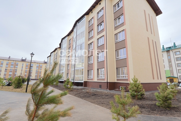 
  Продается студия, 34.2 м², Баварская ул, д. 11
. Фото 5.