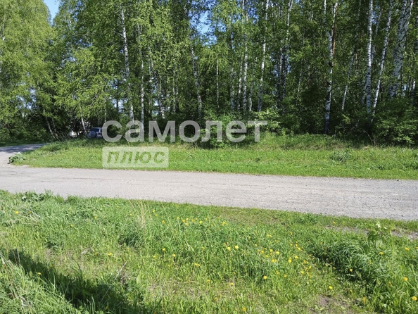 
  Продается земельный участок, 15 соток, село Мазурово
. Фото 2.