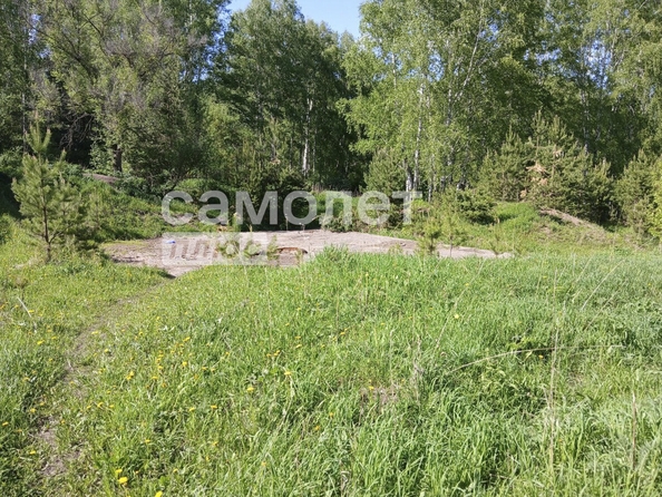 
  Продается земельный участок, 15 соток, село Мазурово
. Фото 3.
