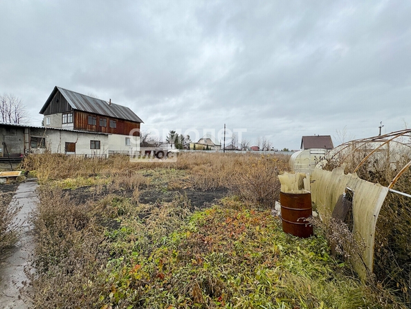 
  Продам  дачный участок, 16 соток, Березово

. Фото 4.