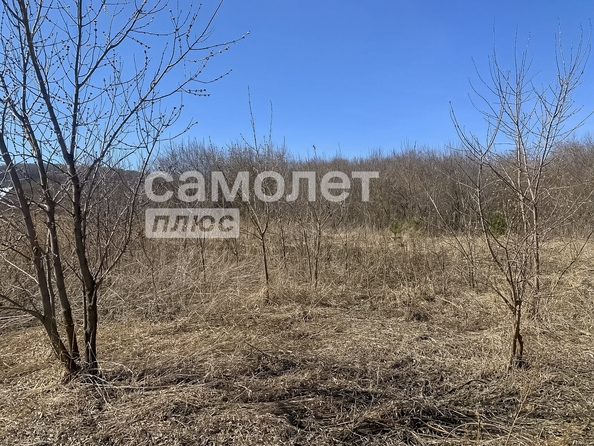 
  Продается земельный участок, 12.5 соток, деревня Мозжуха
. Фото 3.