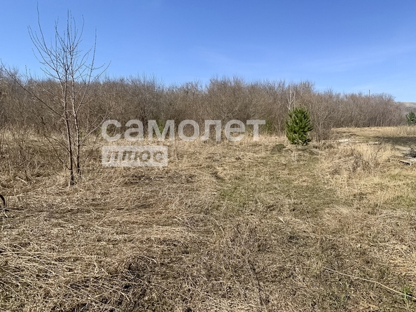 
  Продам  дачный участок, 12.5 соток, Мозжуха

. Фото 2.