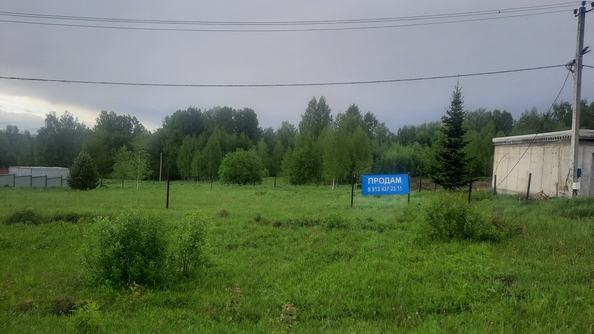 
  Продается земельный участок, 15 соток, деревня Солонечная
. Фото 2.
