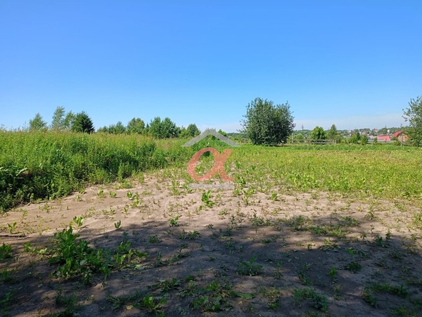 
  Продается земельный участок, 10 соток, село Андреевка
. Фото 5.