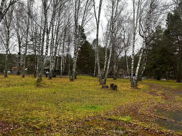 
  Продается универсальное помещение, 7000 м², Пионер ул
. Фото 6.