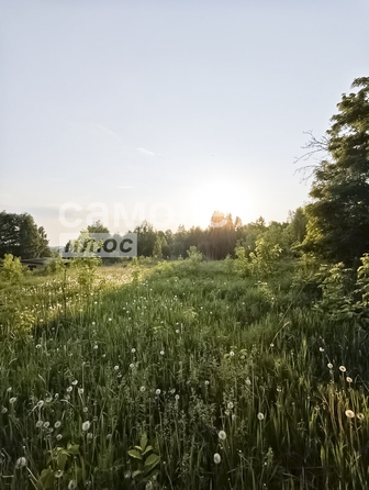 
  Продается земельный участок, 14 соток, Кемерово
. Фото 5.