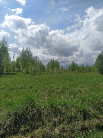 
  Продается земельный участок, 150 соток, поселок Юго-Александровка
. Фото 2.
