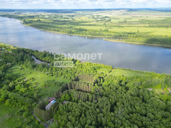 
  Продается земельный участок 120 соток. Фото 4.