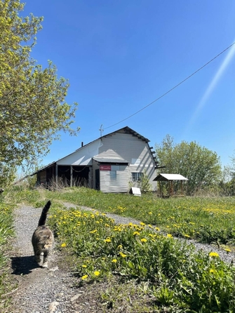 
  Продается дом 67.1 м². Фото 1.