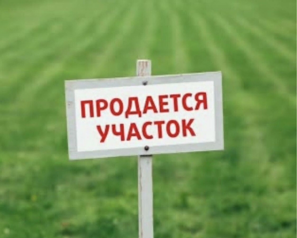 
  Продается земельный участок 15 соток. Фото 2.