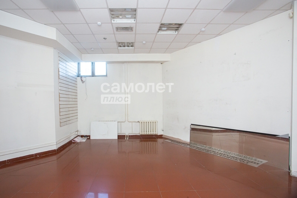 
  Сдается универсальное помещение 116.4 м². Фото 4.