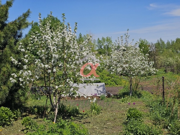 
  Продается дом 17.2 м². Фото 15.