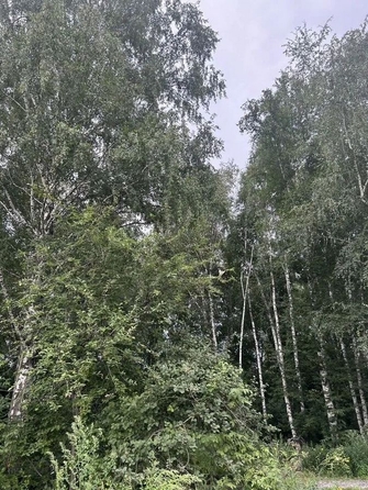
  Продается дом 141 м². Фото 23.