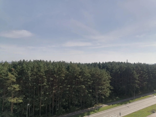 
  Продается 3-комн. квартира 58.3 м², в ЖК Чемпион-парк, дом 1. Фото 21.