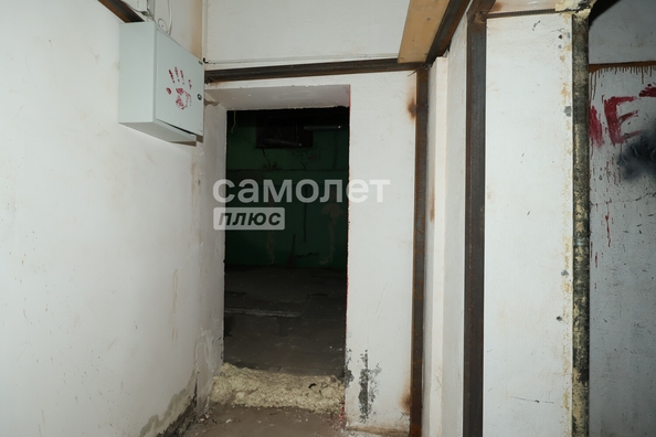 
  Продается универсальное помещение 210 м². Фото 31.
