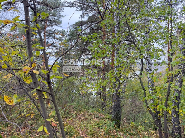 
  Продается земельный участок 6.68 соток. Фото 12.