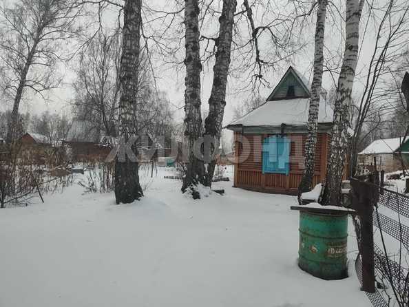 
  Продам  дачный участок, 10.5 соток, Новосибирск

. Фото 1.
