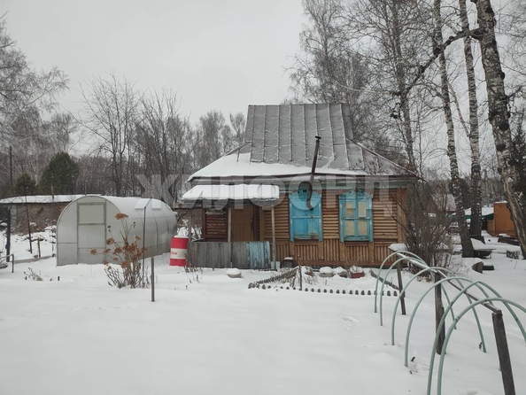 
  Продам  дачный участок, 10.5 соток, Новосибирск

. Фото 3.
