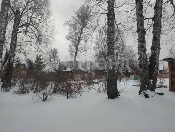 
  Продам  дачный участок, 10.5 соток, Новосибирск

. Фото 5.