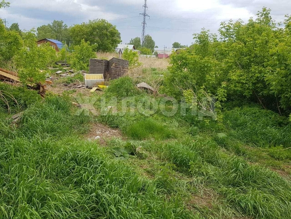 
  Продается земельный участок, 25 соток, село Марусино
. Фото 5.