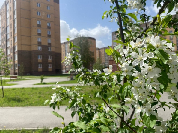 
   Продам 2-комнатную, 50 м², Юности ул, 9

. Фото 11.