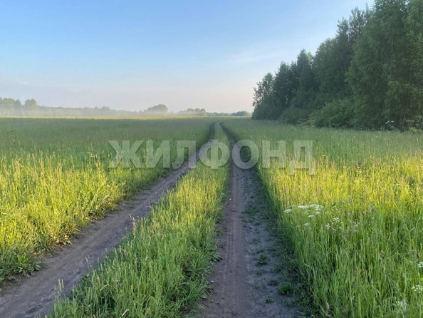 
  Продается земельный участок, 1300 соток, рабочий поселок Мошково
. Фото 2.