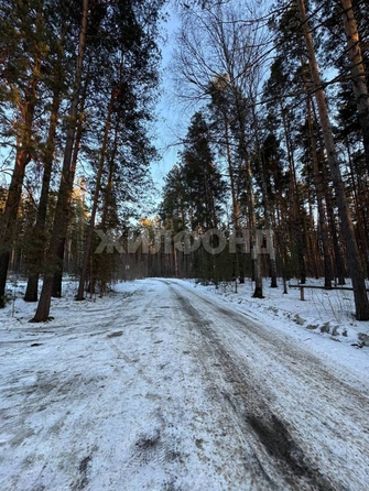 
  Продается земельный участок, 10 соток, Новосибирск
. Фото 1.