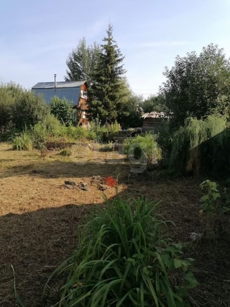 
  Продам дачу, 3.63 соток, Новосибирск

. Фото 11.