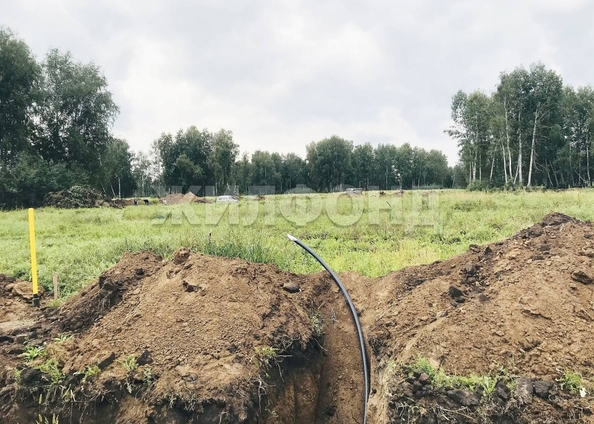 
  Продам  дачный участок, 7.82 соток, Сибирские просторы ДП

. Фото 10.
