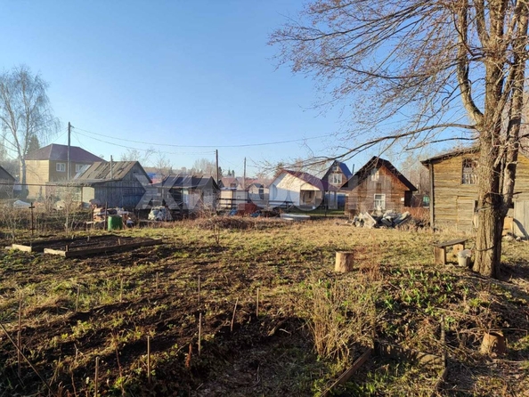 
  Продам  дачный участок, 4 соток, Золотая горка СНТ (Дзержинский)

. Фото 3.