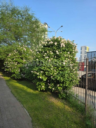 
  Продается 3-комн. квартира, 74.7 м², Ипподромская ул, д. 44
. Фото 33.