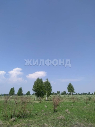 
  Продам  дачный участок, 185.9 соток, Кудряшовский пос

. Фото 1.
