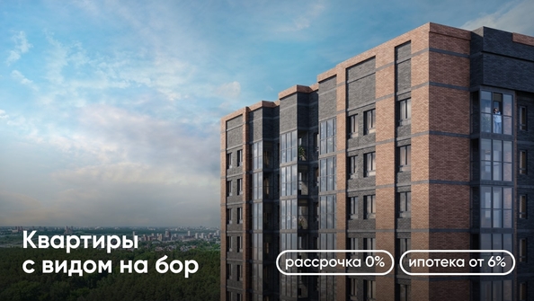 
   Продам 1-комнатную, 41.37 м², Белкин

. Фото 6.
