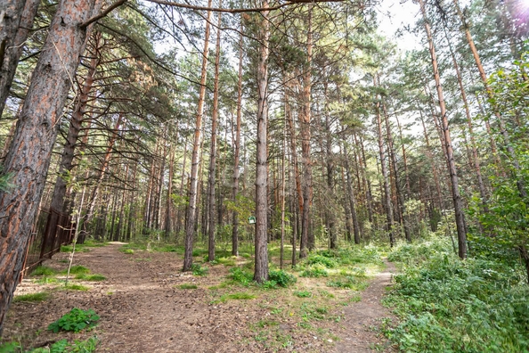 
   Продам студию, 26 м², Морская ул, 44к4

. Фото 16.