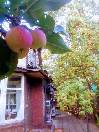 
  Сдам в аренду коттедж, 56 м², Новосибирск

. Фото 19.