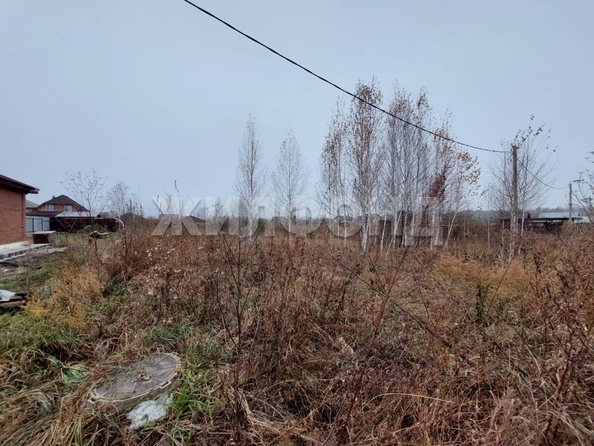 
  Продам  дачный участок, 10 соток, Садовый пос

. Фото 7.