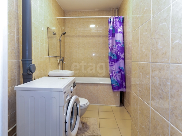
  Продается студия, 27.6 м², Сибиряков-Гвардейцев ул, д. 64/2
. Фото 5.