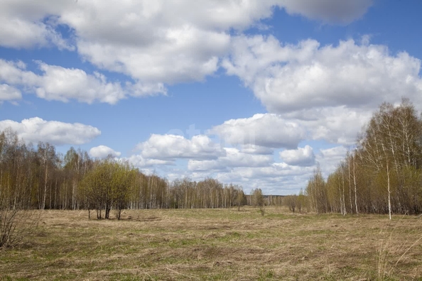 
  Продам  коммерческую землю, 2010 соток, Сокур

. Фото 4.
