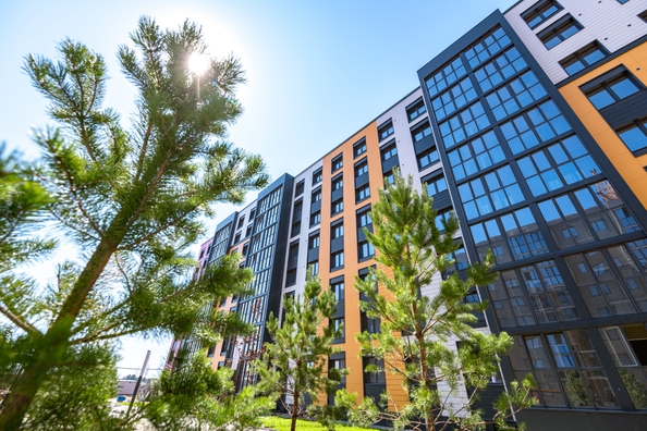 
   Продам 2-комнатную, 40.1 м², Фламинго, дом 22

. Фото 11.