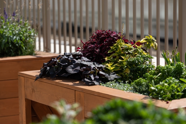 
  Продается 2-комн. квартира, 40.46 м², ЖК Balance (Баланс), 3 очередь
. Фото 14.