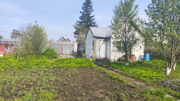 
  Продам дачу, 8 соток, Новосибирск

. Фото 3.
