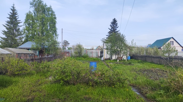 
  Продам дачу, 8 соток, Новосибирск

. Фото 4.