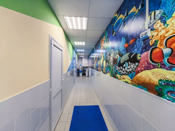 
  Продается готовый бизнес, 211.2 м², Ключ-Камышенское Плато ул, д. 13
. Фото 6.