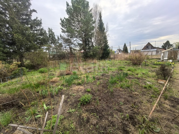 
  Продается дом, 32.6 м², деревня Шмаково
. Фото 23.