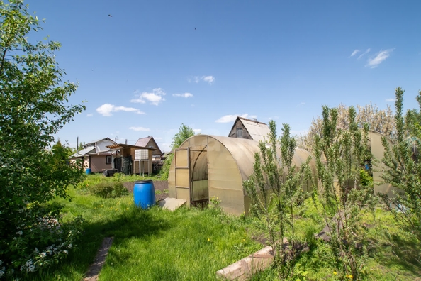 
  Продается дача, 36 м², СНТ Новая Сибирь
. Фото 14.