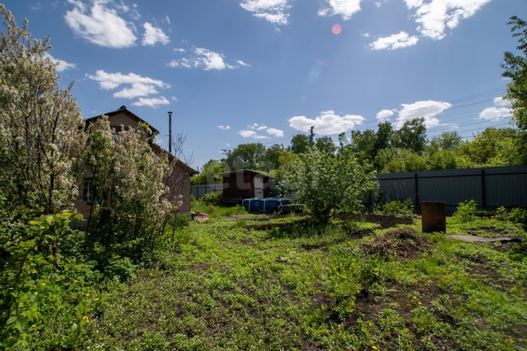 
  Продается дача, 36 м², СНТ Новая Сибирь
. Фото 16.