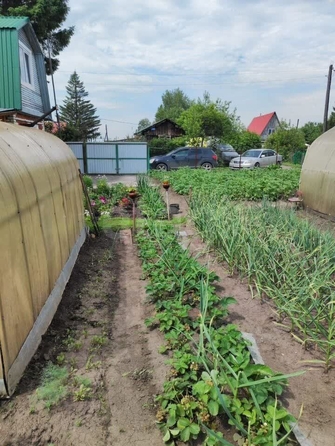 
  Продается дача, 41 м², СНТ Буревестник (Советский р-н)
. Фото 24.