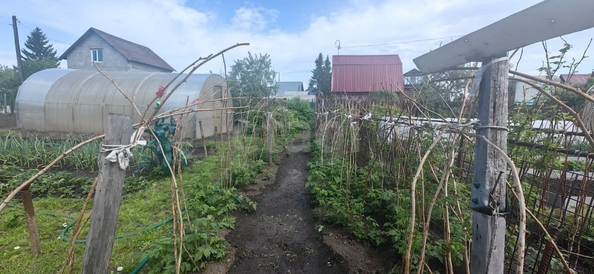 
  Продается дача, 41 м², СНТ Буревестник (Советский р-н)
. Фото 30.